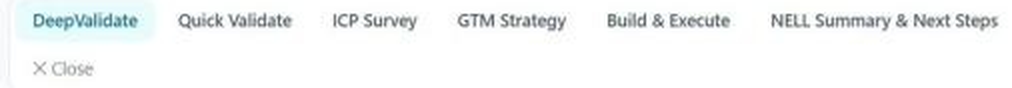 DeepValidate workspace showing the validation tab alongside Quick Validate, GTM Strategy, Build and Execute, and next-step tabs.